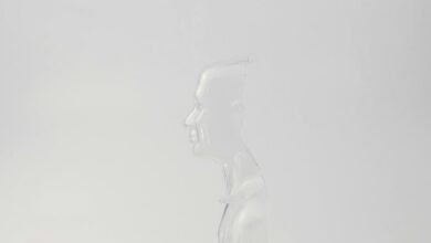 affordable beaker bong options