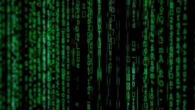 algorithm s code shadows revealed