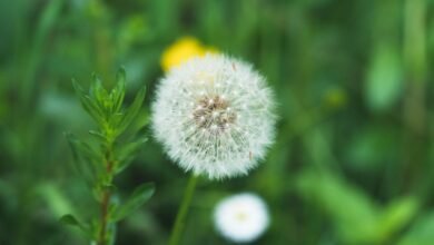 exploring favorite places trend