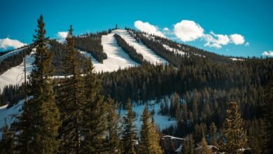 global sbi magnification initiative