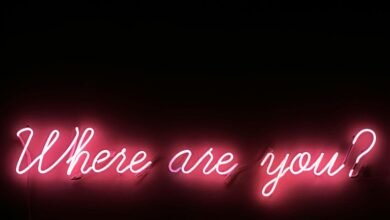 kashito_toto trend origins explored