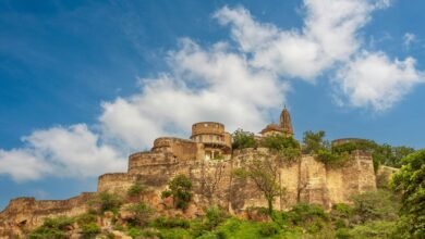 large moti oswa input