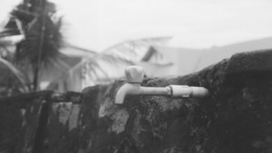 mastering vsco search feature