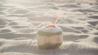 samsara island s popular appeal