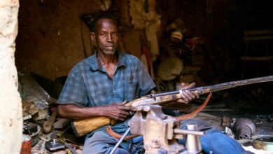 using vidnoz ai tools