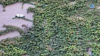 operational security evaluation taskforce