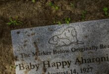 smart online efficiency platform