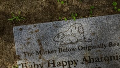 smart online efficiency platform