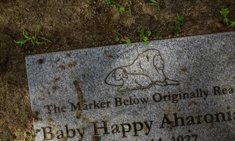 smart online efficiency platform